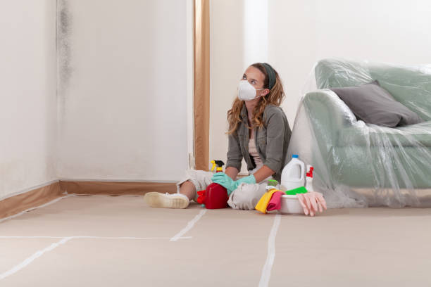 Reliable Mold Remediation contractor in Durham, NC by WQB Mold Removal